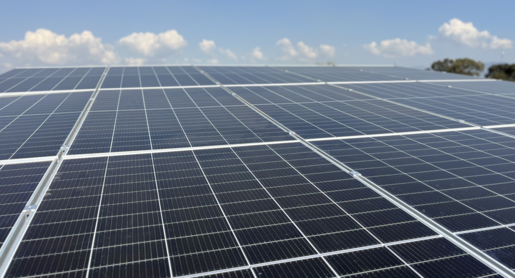 Proyecto nave de refrigeración central de abastos