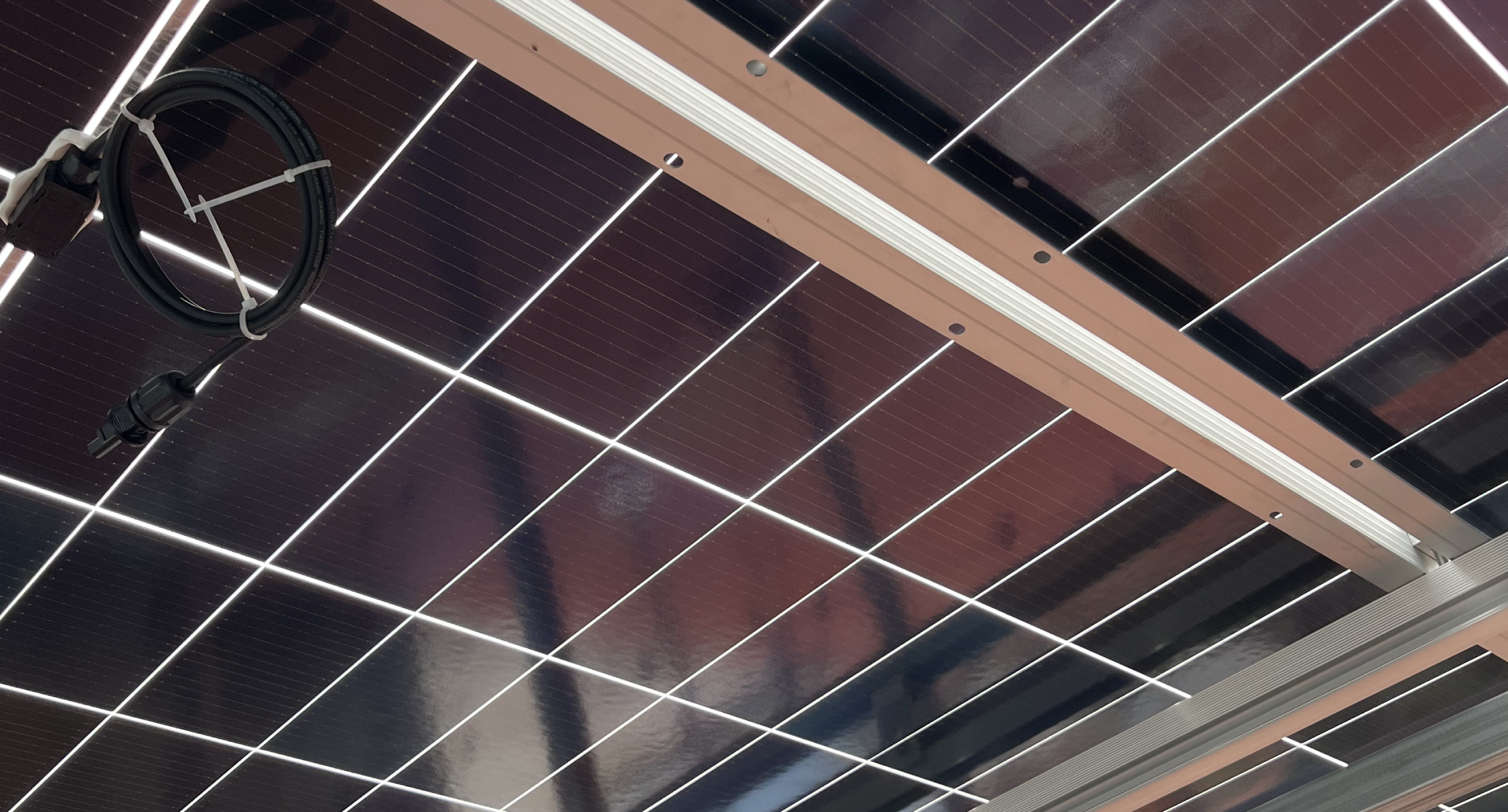 miscelanea san felipe enerfull (2)